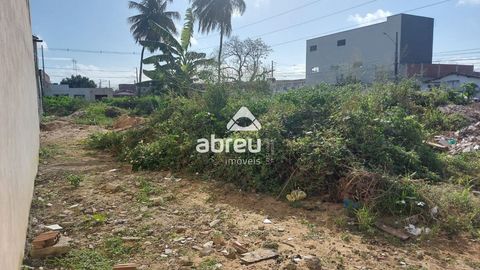 Foto Terreno