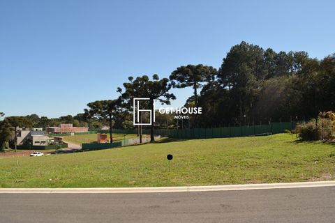 Foto Terreno