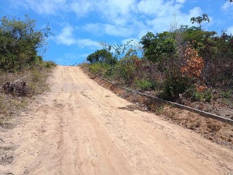 Foto Terreno