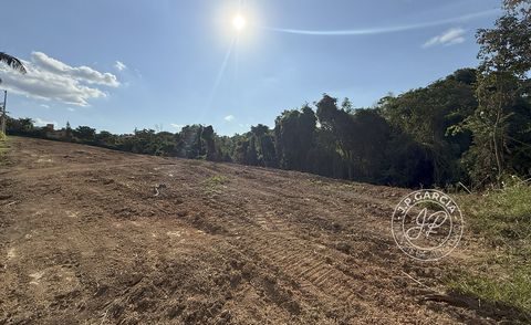 Foto Terreno