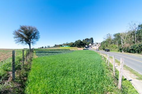 Foto Terreno