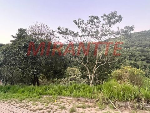 Foto Terreno