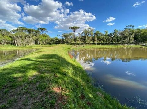 Foto Fazenda / Sítio / Chácara