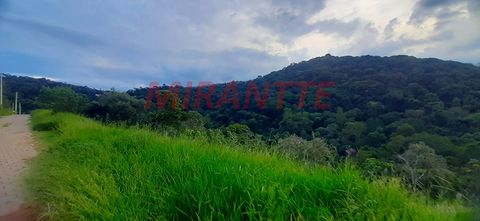 Foto Terreno