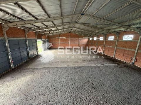 Foto Galpão / Depósito / Armazém / Pavilhão