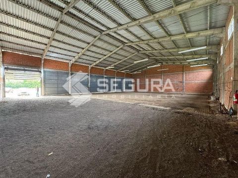 Foto Galpão / Depósito / Armazém / Pavilhão
