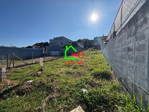 Foto Terreno