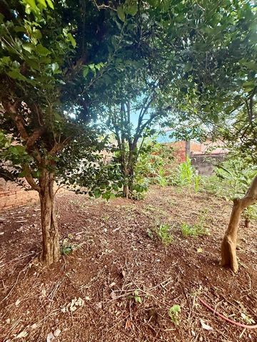Foto Terreno