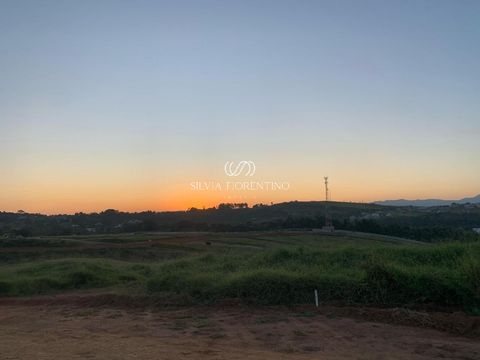 Foto Terreno