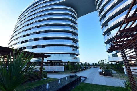 Foto Sala / Conjunto Comercial