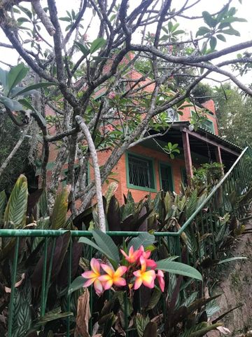Foto Fazenda / Sítio / Chácara