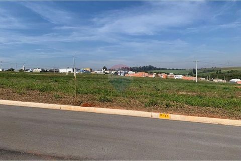 Foto Terreno