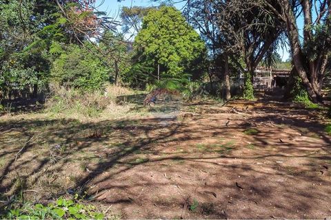 Foto Terreno
