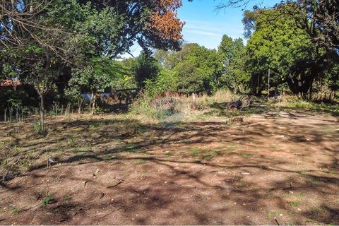 Foto Terreno