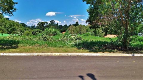 Foto Terreno