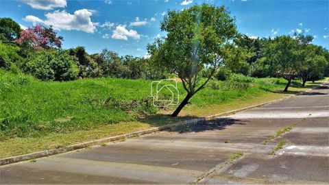 Foto Terreno