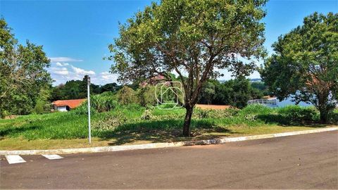 Foto Terreno