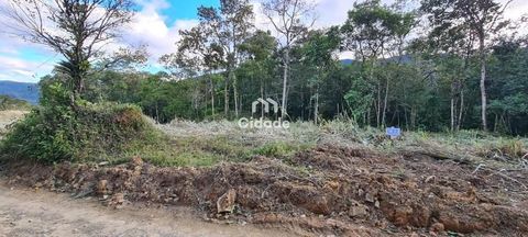 Foto Fazenda / Sítio / Chácara