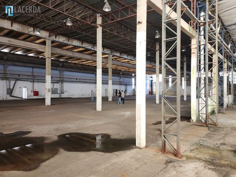 Foto Galpão / Depósito / Armazém / Pavilhão