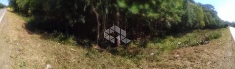 Foto Terreno