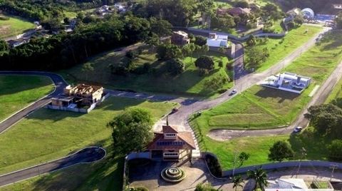 Foto Terreno