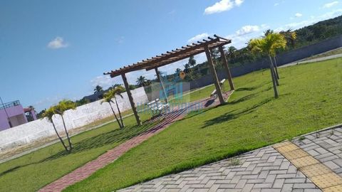 Foto Terreno