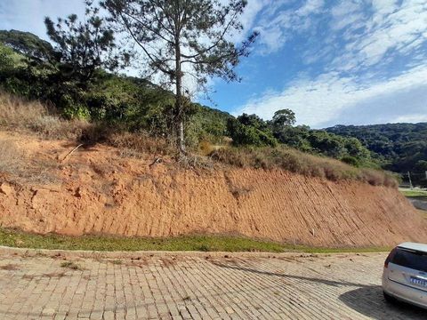 Foto Terreno