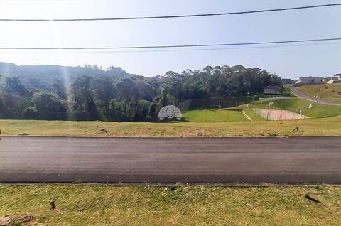 Foto Terreno