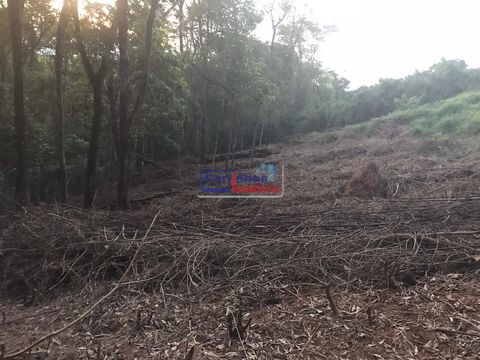 Foto Terreno