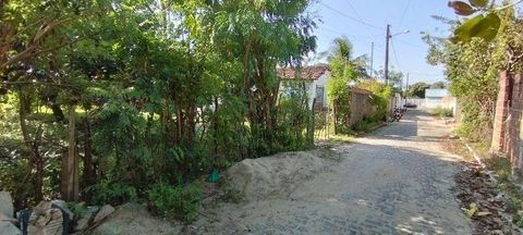 Foto Terreno