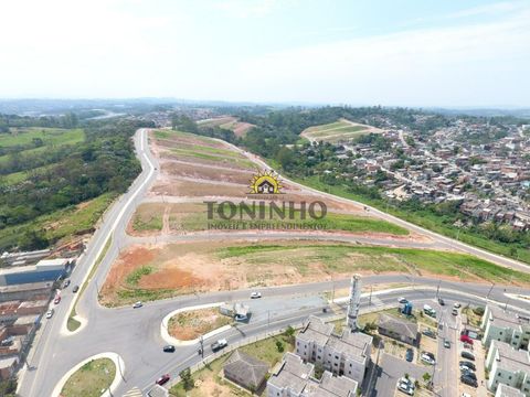 Foto Terreno