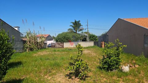 Foto Terreno