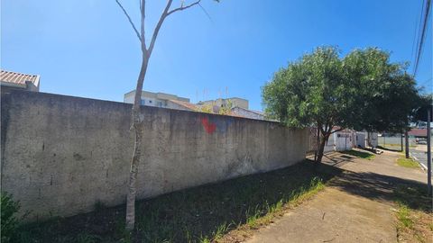 Foto Terreno