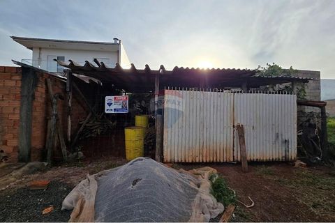Foto Terreno