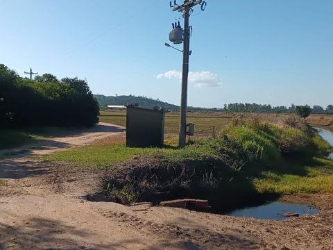 Foto Fazenda / Sítio / Chácara