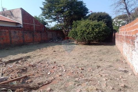 Foto Terreno