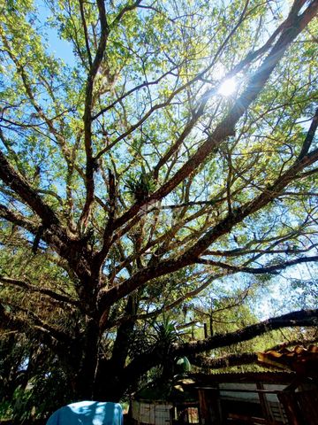 Foto Fazenda / Sítio / Chácara