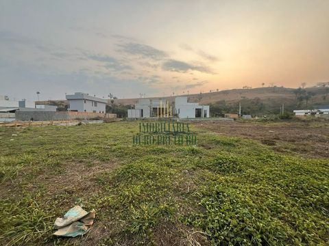 Foto Terreno