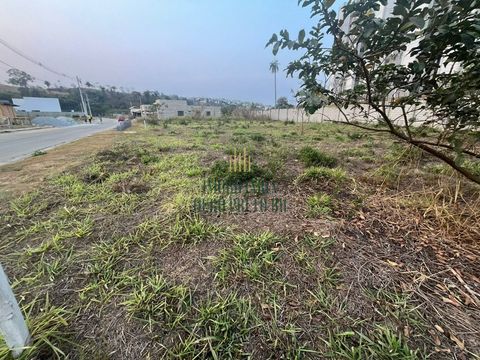 Foto Terreno