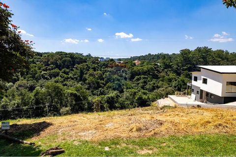 Foto Terreno
