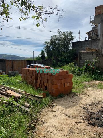 Foto Terreno