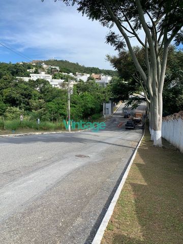 Foto Terreno