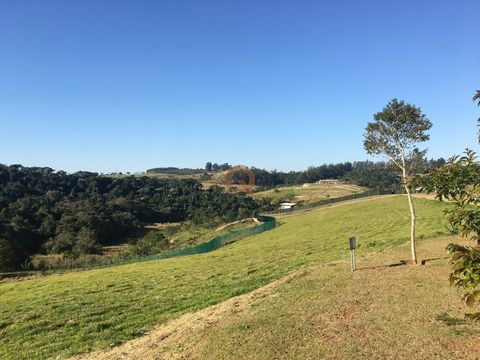 Foto Terreno