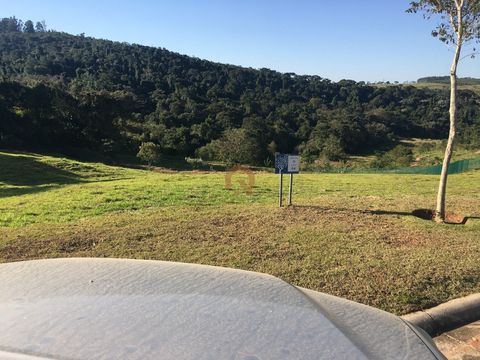Foto Terreno