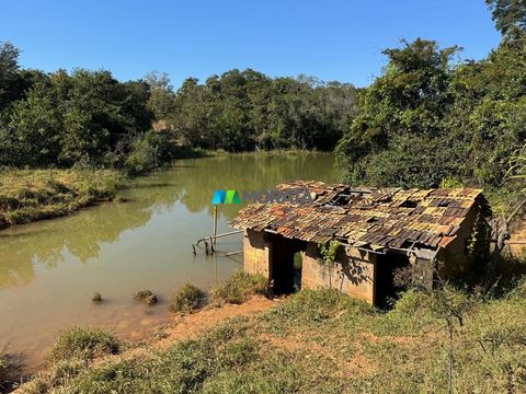 Foto Fazenda / Sítio / Chácara
