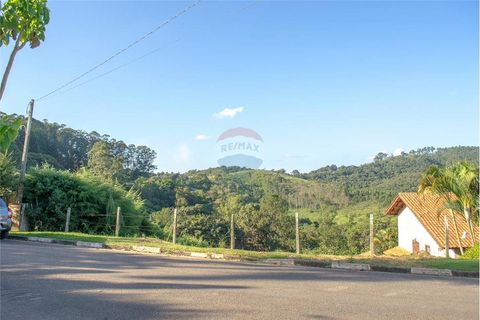 Foto Terreno