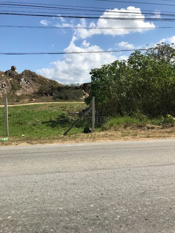 Foto Terreno