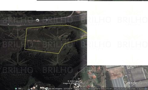 Foto Fazenda / Sítio / Chácara