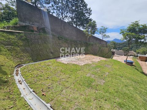 Foto Terreno