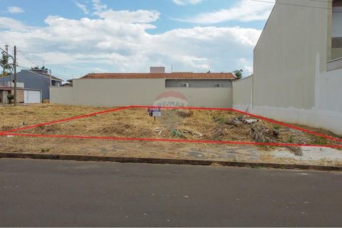 Foto Terreno